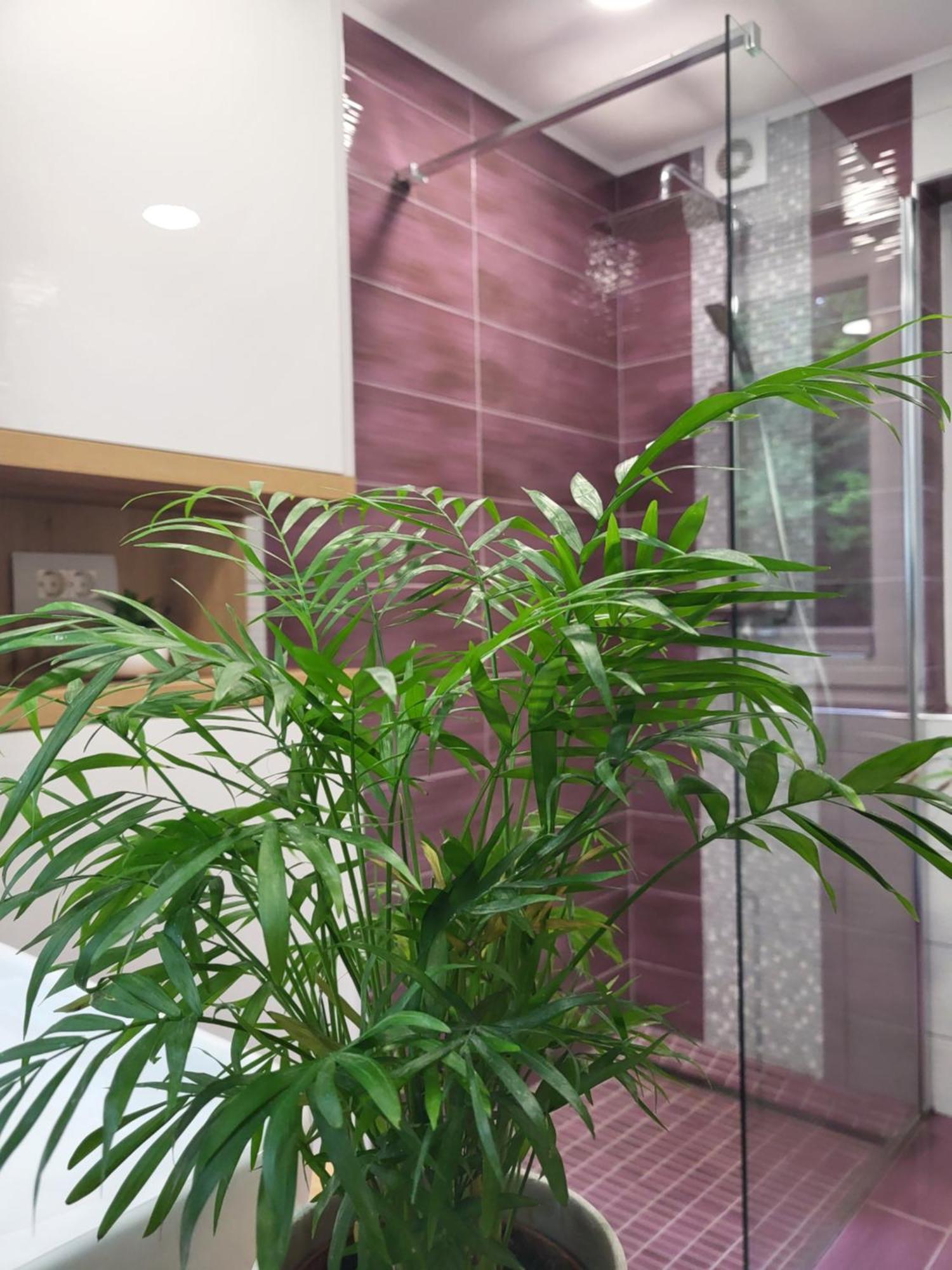 Green Garden House Zreče Εξωτερικό φωτογραφία