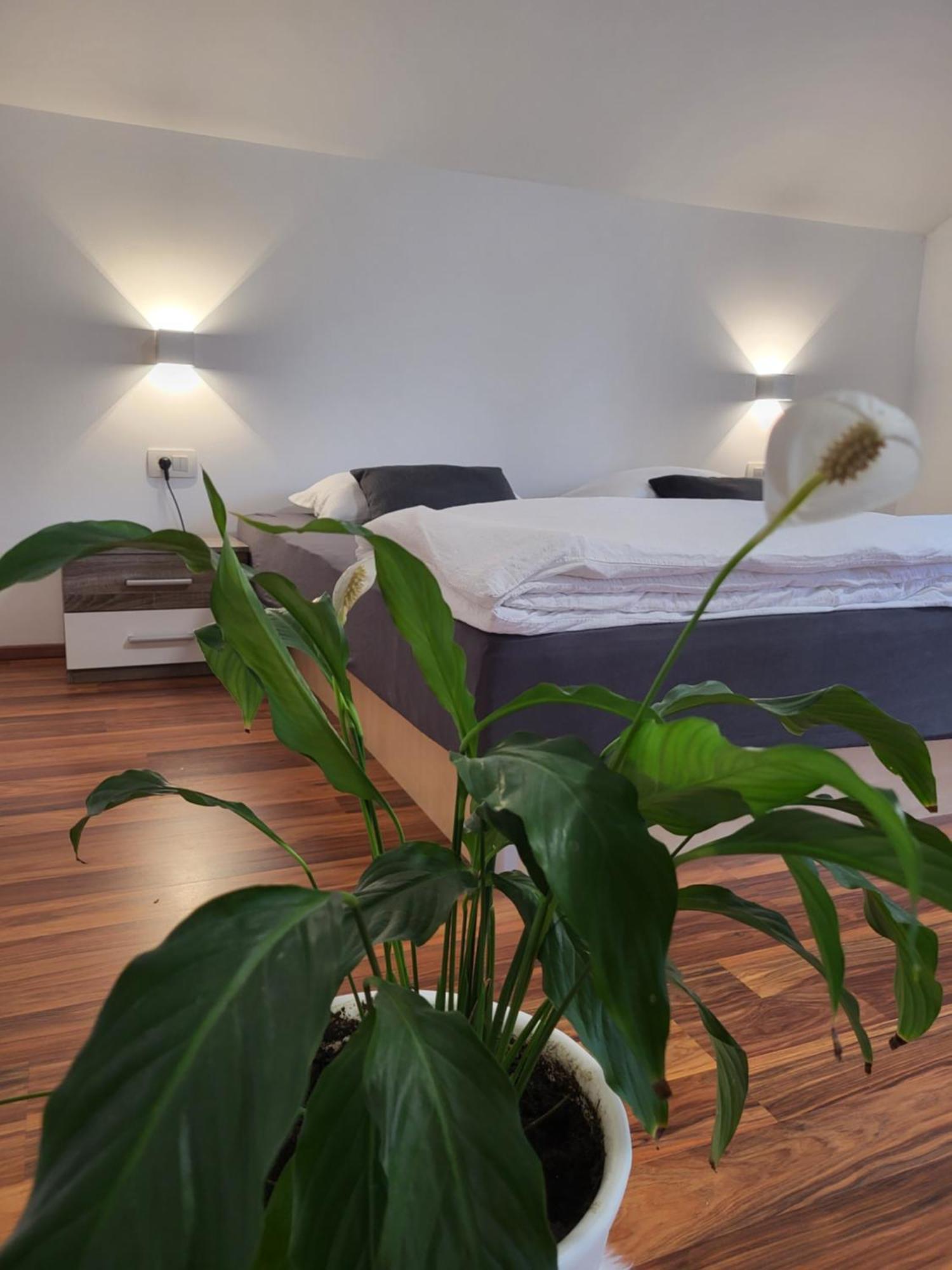 Green Garden House Zreče Εξωτερικό φωτογραφία